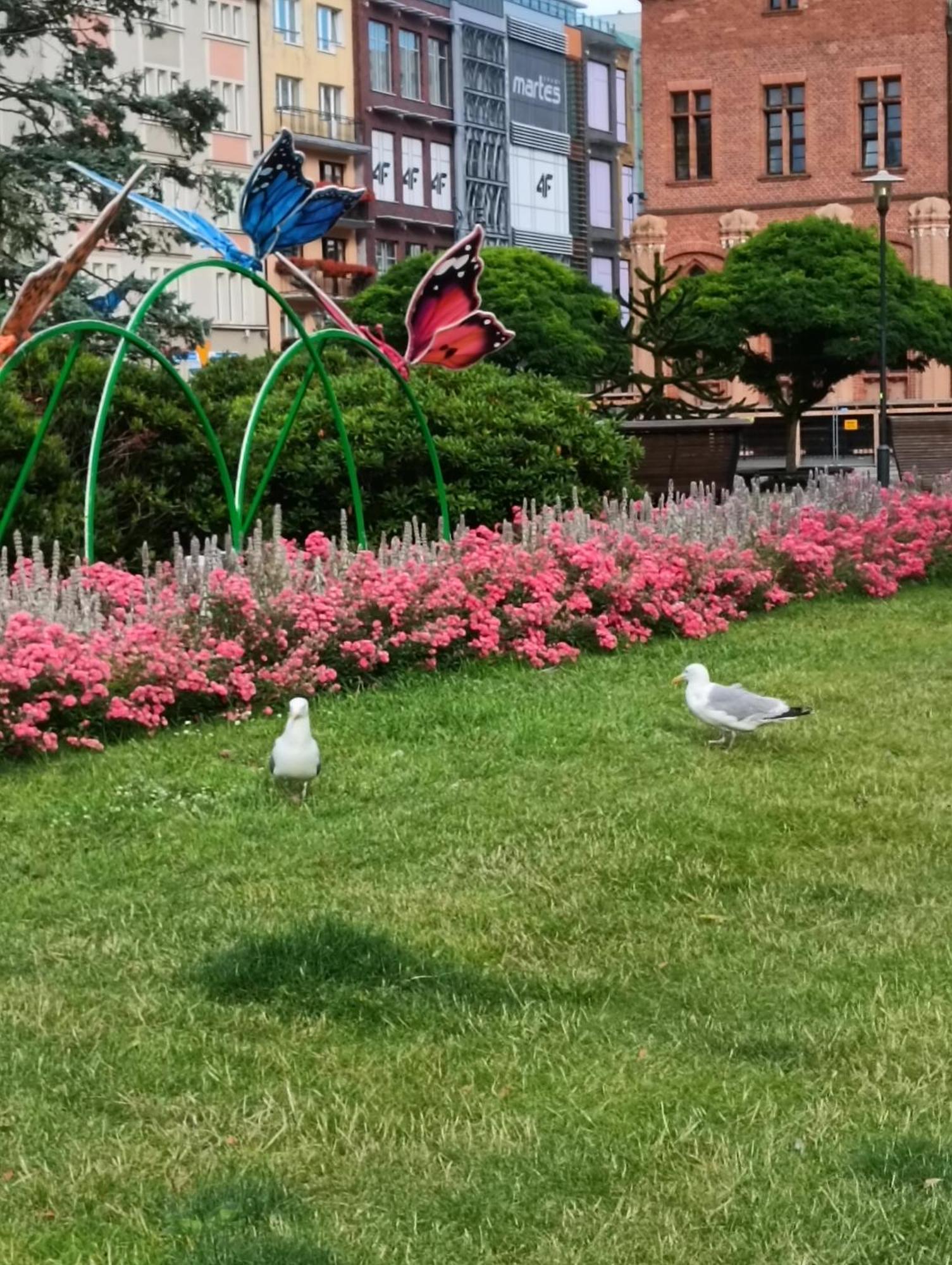 Apartament Ale Laba コウォブジェク エクステリア 写真