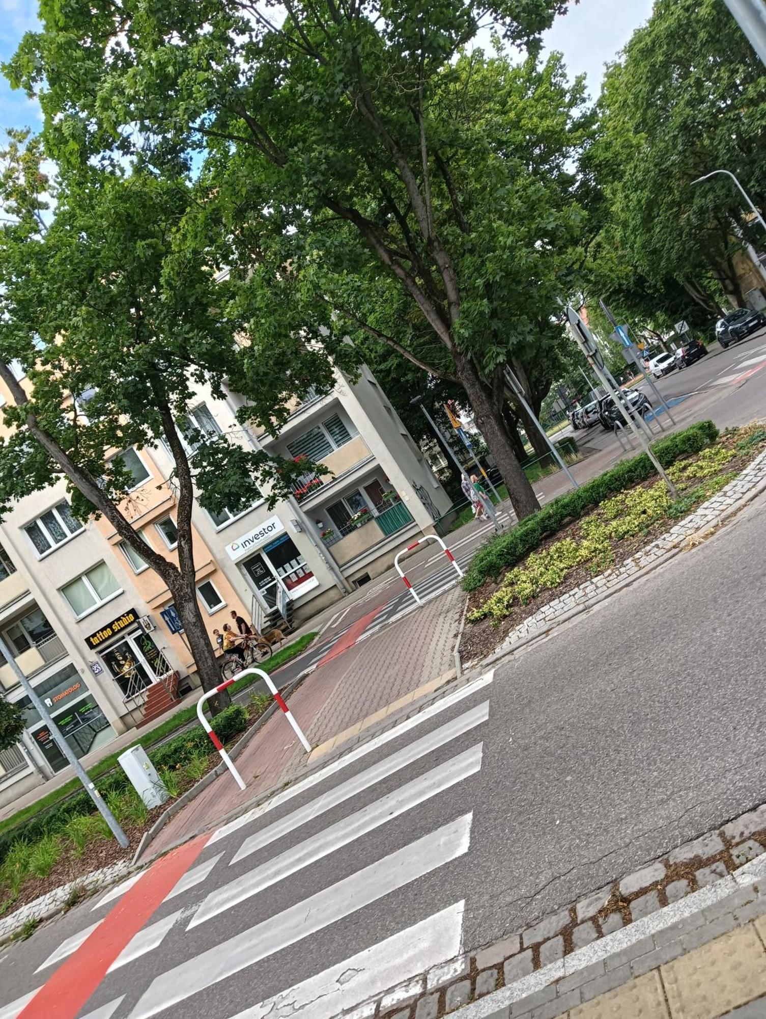 Apartament Ale Laba コウォブジェク エクステリア 写真