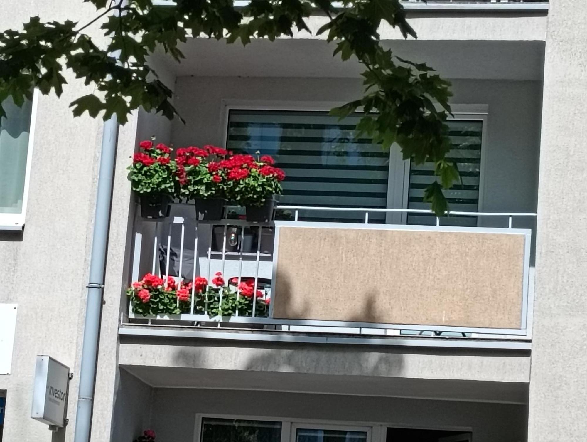 Apartament Ale Laba コウォブジェク エクステリア 写真