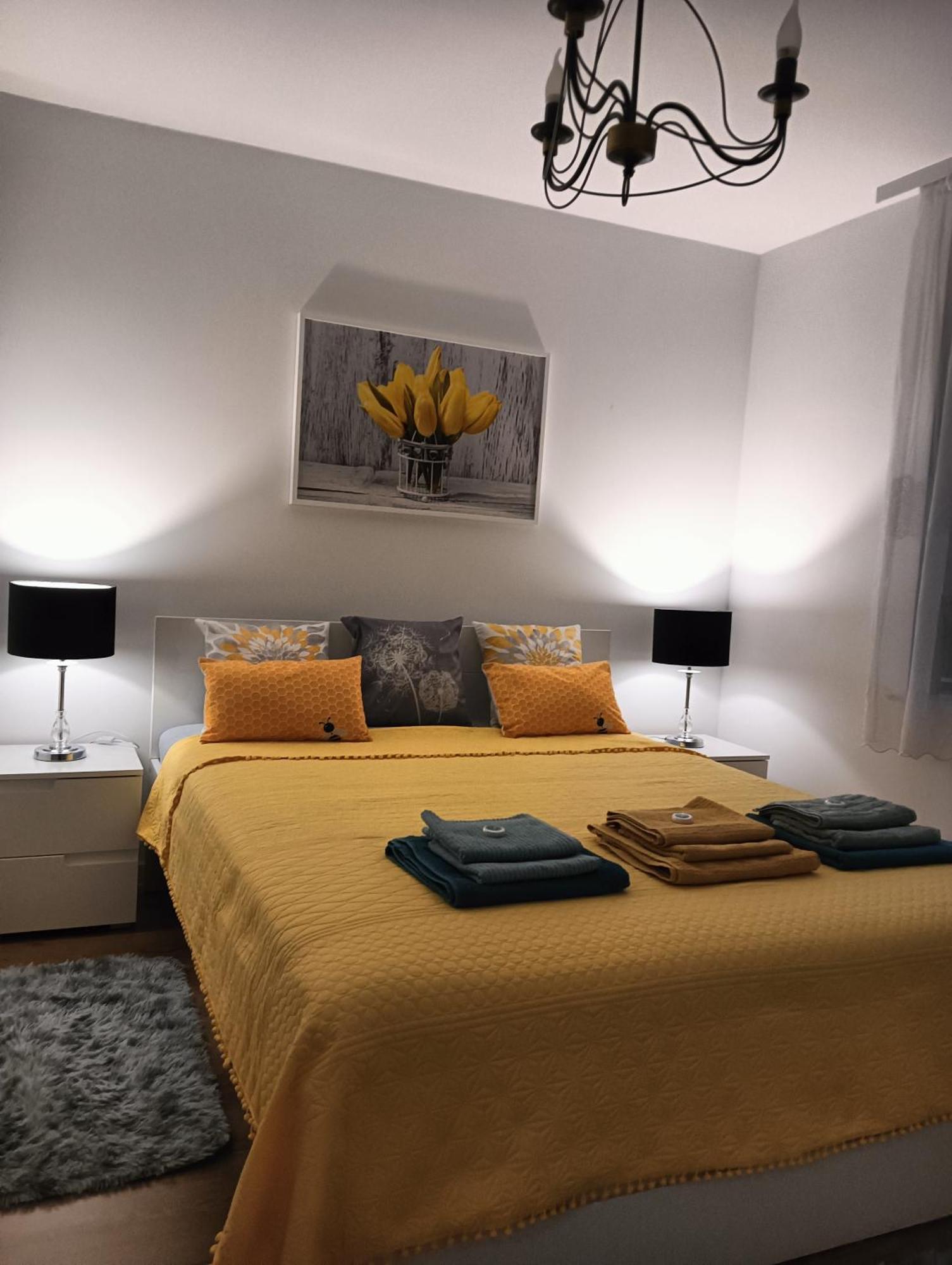 Apartament Ale Laba コウォブジェク エクステリア 写真
